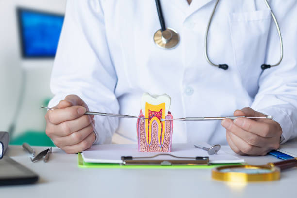 Best Emergency Root Canal Therapy in Castle Rock, WA
